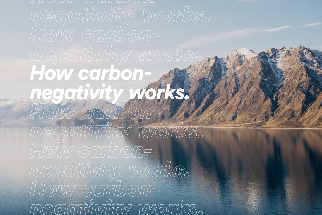 How carbon-negativity works.